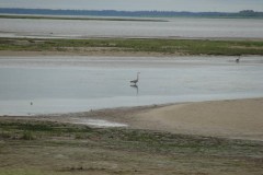 Acadian-Coast-Tour-2010-Dodson-Dietrich-0006