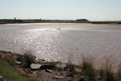 Acadian-Coast-Tour-2010-Dodson-Dietrich-0034