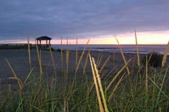 Acadian-Coast-Tour-2010-Unknown-0001