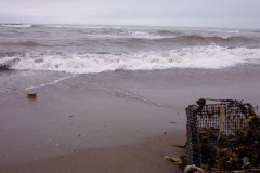 Acadian-Coast-Tour-2004-ACC-0015