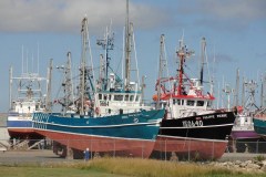 Acadian-Coast-Tour-2010-Dodson-Dietrich-0020