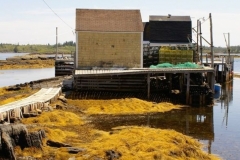 ACBR-1997-Lunenburg-0001