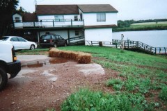 ACBR-2008-Montague-0019