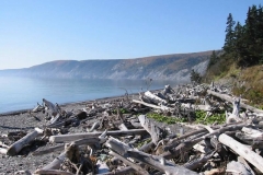 Bay-of-Fundy-Tour-2008-ACC-0020