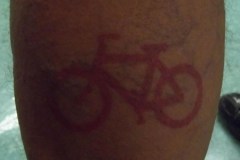 Bay-of-Fundy-Bicycle-Tour-2018-ACC-0060