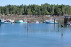 Bay-of-Fundy-Bicycle-Tour-2018-Dodson-Dietrich-0010