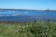 Bay-of-Fundy-Tour-2022-ACC-0044