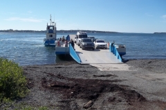 Bay-of-Fundy-Tour-2022-ACC-0065