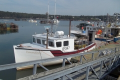 Bay-of-Fundy-Tour-2022-ACC-0089
