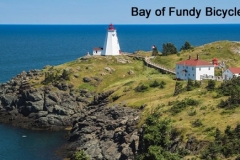 Bay of Fundy Tour - Best Pics
