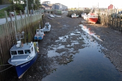 Bay-of-Fundy-Tour-2008-ACC-0002