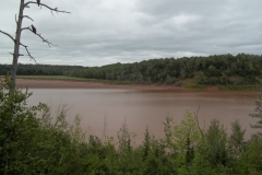 Bay-of-Fundy-Tour-2013-ACC-0050