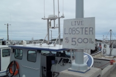 Bay-of-Fundy-Tour-2013-ACC-0051