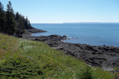 Bay-of-Fundy-Tour-2022-ACC-0051