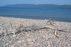 Cabot-Trail-Tour-1992-2008-ACC-0032