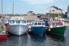 Cape-Breton-Island-Tour-2011-ACC-0066