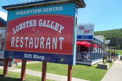 Cape-Breton-Island-Tour-2015-ACC-0039