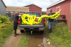 Cape-Breton-Island-Tour-2015-ACC-0074