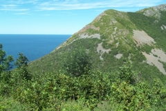 Cape-Breton-Island-Tour-2016-ACC-0126