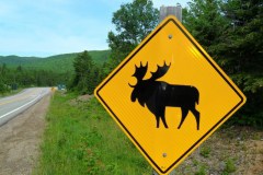 Cape-Breton-Island-Tour-2018-ACC-0089