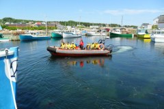 Cape-Breton-Island-Tour-2018-ACC-0121