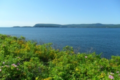 Cape-Breton-Island-Tour-2019-ACC-0106