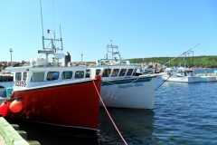 Cape-Breton-Island-Tour-2019-ACC-0124