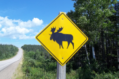 Cape-Breton-Island-Tour-2022-ACC-0044