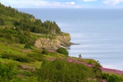 Gaspe-Tour-2013-Unknown-0014