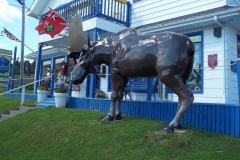 Gaspe-Tour-2015-ACC-0167