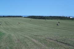 Gaspe-Tour-2015-ACC-0182