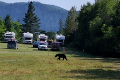 Gaspe-Tour-2017-Gary-0002
