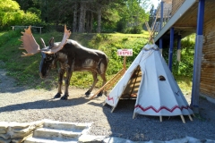 Gaspe-Tour-2019-ACC-0086