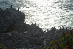 Gaspe-Tour-2019-ACC-0118
