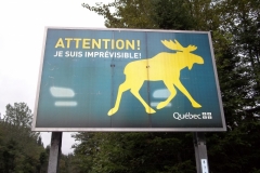 Gaspe-Tour-2022-ACC-0015