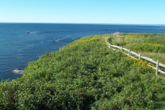 Gaspe-Tour-2013-ACC-0130