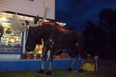 Gaspe-Tour-2017-ACC-0103