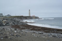 Gaspe-Tour-2019-ACC-0122