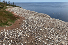 Gaspe-Tour-2022-Paul-Davison-0014