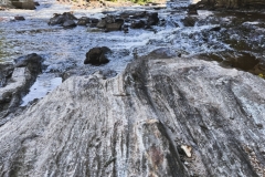 Laurentians-Tour-2022-Buz-Bragdon-0008