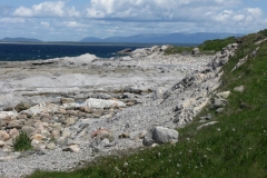 Newfoundland-Tour-2010-ACC-0056
