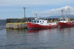 Newfoundland-Tour-2010-ACC-0058