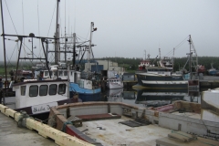 Newfoundland-Tour-2010-ACC-0071