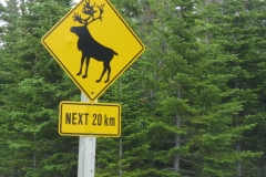 Newfoundland-Tour-2010-ACC-0076