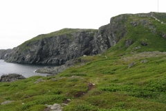 Newfoundland-Tour-2010-ACC-0156