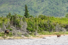 Newfoundland-Tour-2010-Paul-Nemy-0030