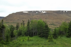 Newfoundland-Tour-2013-ACC-0010