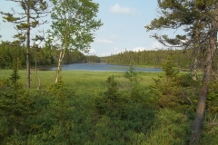 Newfoundland-Tour-2013-ACC-0054