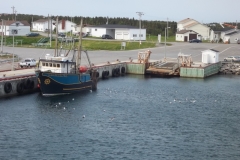 Newfoundland-Tour-2013-ACC-0065