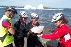 Newfoundland Tour 2014 Album